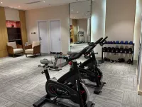 Stone Forest International Hotel - Gym