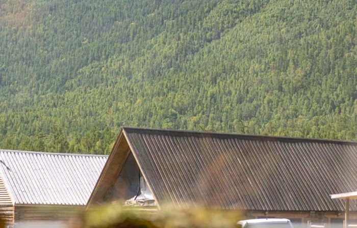 ZARAT · Natural Coffee Designer Boutique Homestay (Kanas New Village Branch)