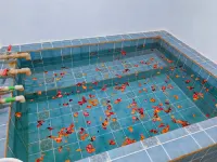 Qingyunge Hot Spring Guesthouse - Thermen