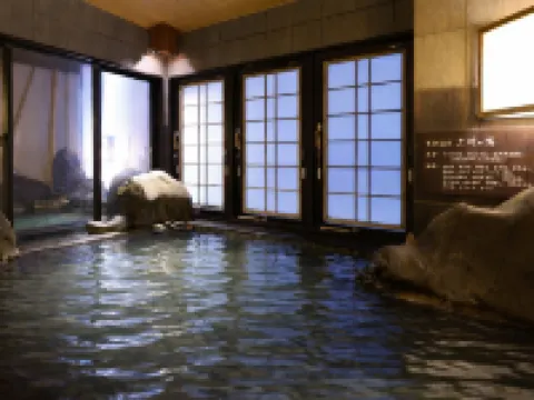 ドーミーインEXPRESS三河安城 安城のホテル