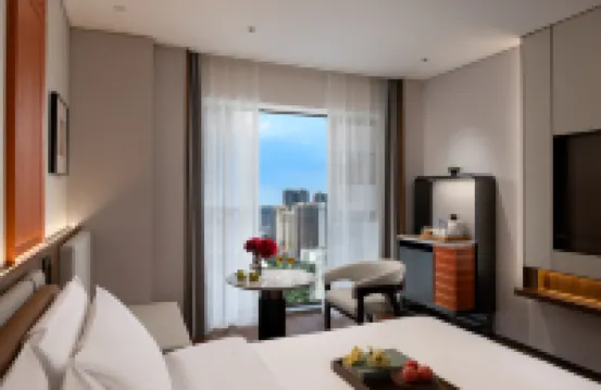 ROYGEM Hotel, Hunan ICEC, Window of the World, Changsha 창사 아쿠아리움 주변 호텔