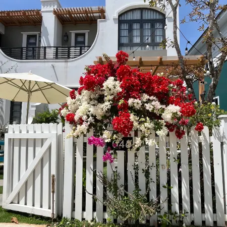 Pomegranate Villa