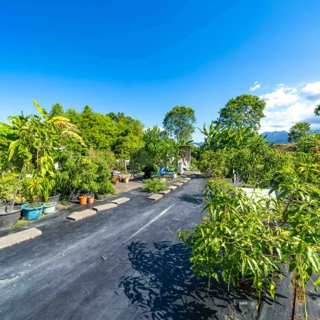 Tian Xinmin places B&B