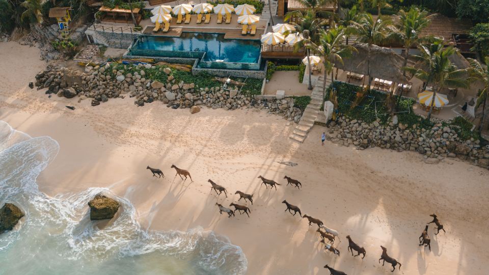 NIHI Sumba