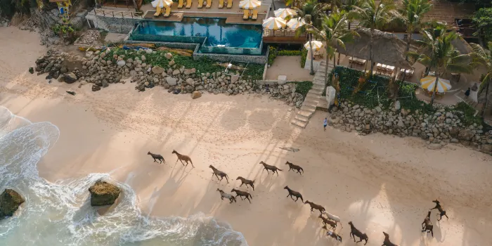 NIHI Sumba image 0