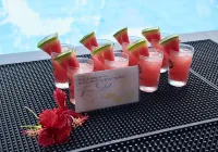 Carpe Diem Villas & Resort 潛水及住宿度假村 - 酒吧