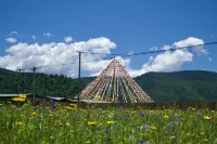 Shenhu Homestay - Thermen