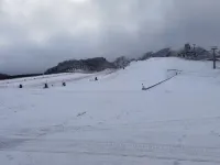 Tuyue Homestay (Lvcongpo Ski Resort)