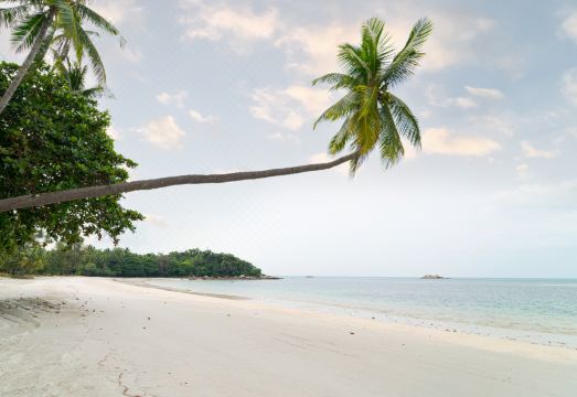 니롸나 리조트 호텔 대표 이미지