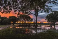 Mahoora - Yala by Eco Team - Romantic
