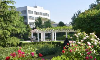 International Exchange Service Center of Hebei University