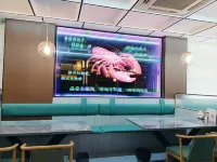 Qiu Jinjiang Hotel - Kæledyr tilladt