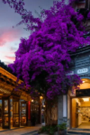 麗江古城·山水愛斯花園酒店（四方街店）