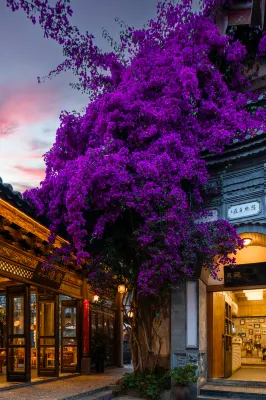 Lijianggucheng·Shan Shui Aisi Huayuan Hotel Отели в г. Лицзян