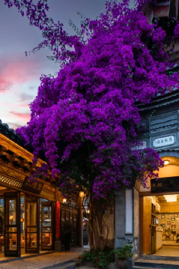 Lijianggucheng·Shan Shui Aisi Huayuan Hotel