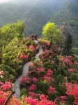 Jinzhai Dongxiao Xunxili Homestay - Romantic