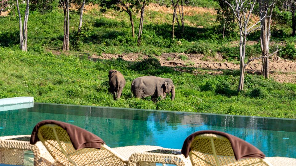Wild Cottages Elephant Sanctuary Resort