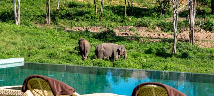 Wild Cottages Elephant Sanctuary Resort Hotel a Koh Samui