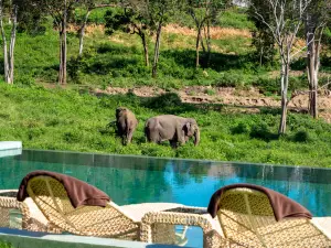 Wild Cottages Elephant Sanctuary Resort