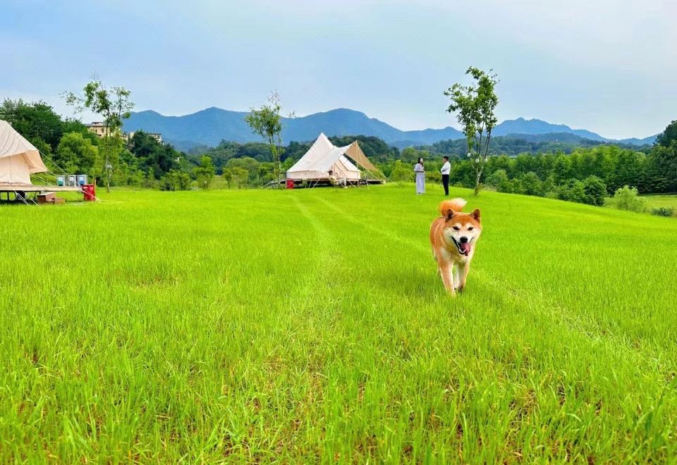 푸리 홀리데이 빌라 외관