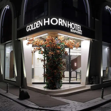 Golden Horn Bosphorus Hotel Отели рядом с достопримечательностью «Парк Гюлхане»