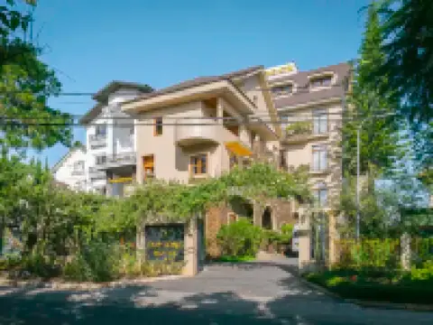 維龍酒店 鄰近保大夏宮的酒店