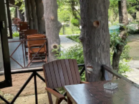 Travellers Jungle Camp Hotels in Sauraha
