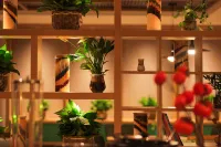 TRUE GO Hotel (Central Avenue Subway Station Baicheng Railway Station) - Gym