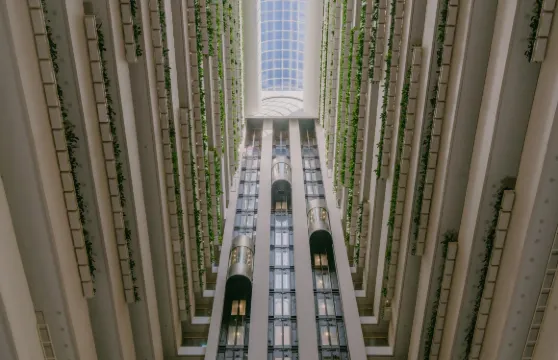 布里斯本洲際酒店