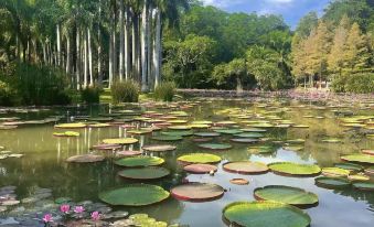 Xishuangbanna Jinghong Xichishangwan · Leisure Resort Hotel