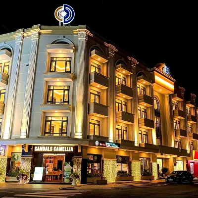 山茶花酒店 鄰近大叻舊火車站的酒店