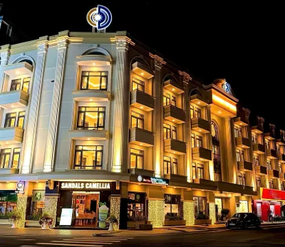 山茶花酒店 酒店