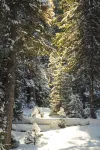 雪山來信·溪山山居民宿 - غرفة مطلة على الجبل