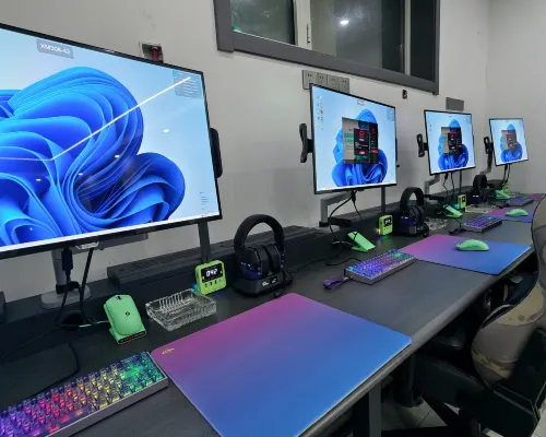 Panda E-sports Homestay Hotels in Anguo