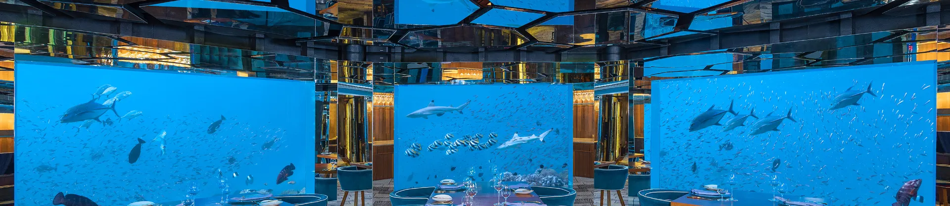 Luxury Hotels