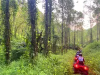 ANan kuan Mountain, Ju Long Homestay - lãng mạn