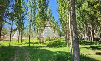 Forest-seeking campground