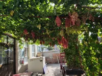 jingju homestay Hotels in Qapqal