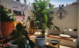 Xiapu Haimingwei Coffee Homestay