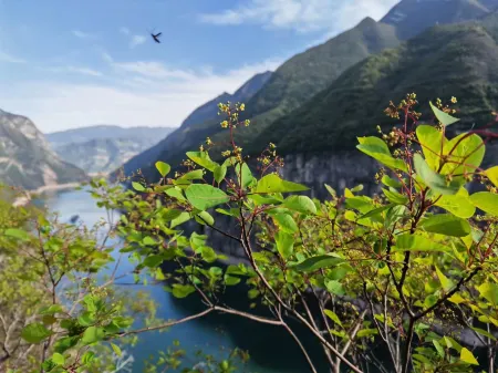 Shanlirenjia Inn Отели рядом с достопримечательностью «Qutang Gorge»