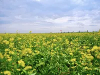 Xilinhot Mayou`sHomeYurtHomestay