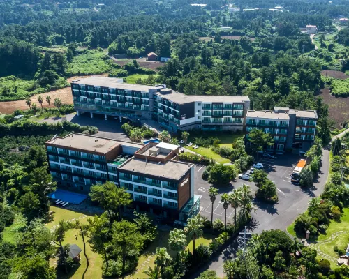 Venga Stay Hotels near Baum Coffee Museum