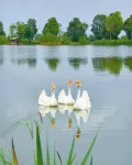Maitreya Lake Riverside Homestay (Huquan Water Town Tourist Resort Branch) - خلابة