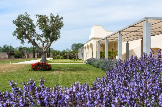 Torre Assunta Masseria