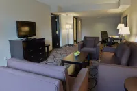 Holiday Inn MONTREAL CENTREVILLE DOWNTOWN by IHG - balcony