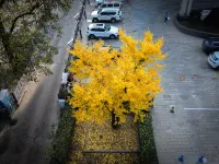 Soluxe Yishui Grand Hotel - parking