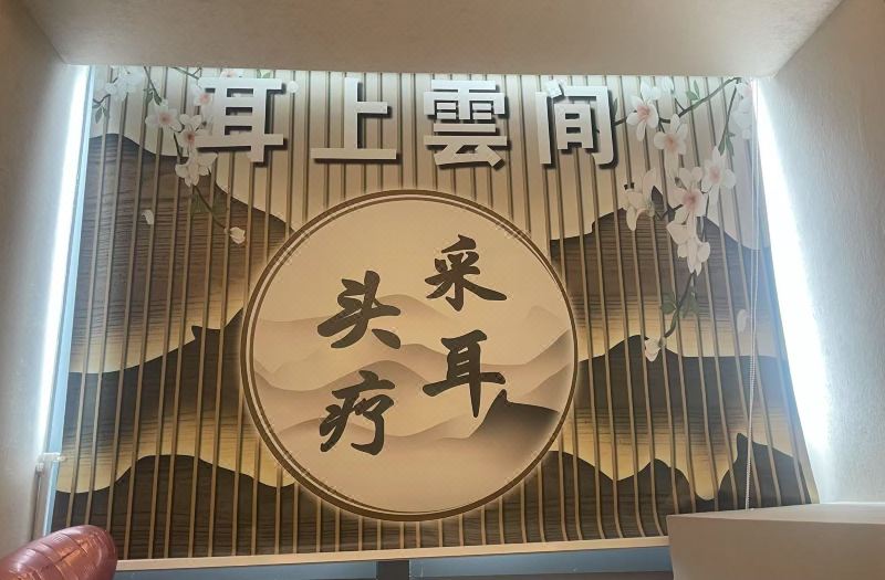 Xipa Executive Apartment (Shenzhen Futian Convention and Exhibition Center) photo 5