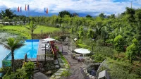 Huayu Hot Spring Homestay - Hot Springs