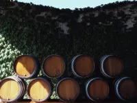 Aparthotel Adagio Access Bordeaux Rodesse