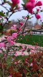 Fenghuangling Shang Homestay